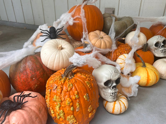 Pumpkin Package 4 – Spooky and fun Halloween