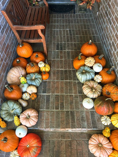 Pumpkin Package 2 - Harvest Charm