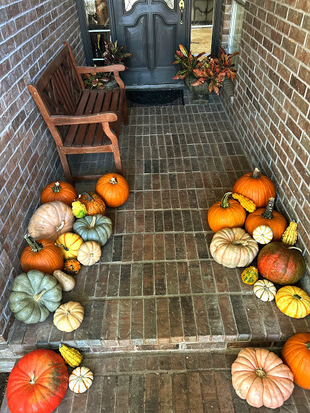 Pumpkin Package 1 – Simple & Sweet