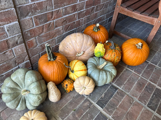 Pumpkin Package 1 – Simple & Sweet