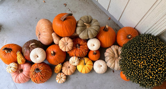 Pumpkin Package 3 – Pumpkin Wonderland