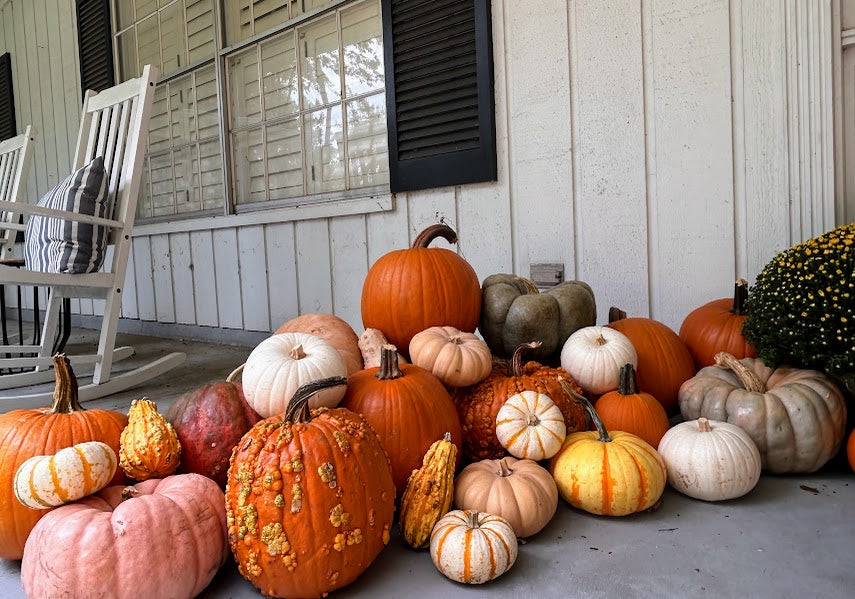 Pumpkin Package 3 – Pumpkin Wonderland