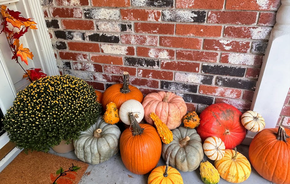 Pumpkin Package 3 – Pumpkin Wonderland