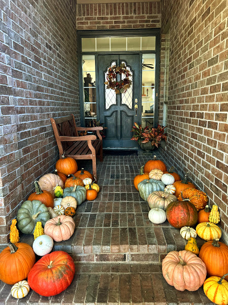 Pumpkin Package 2 - Harvest Charm