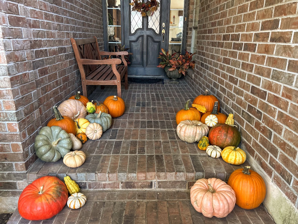 Pumpkin Package 1 – Simple & Sweet